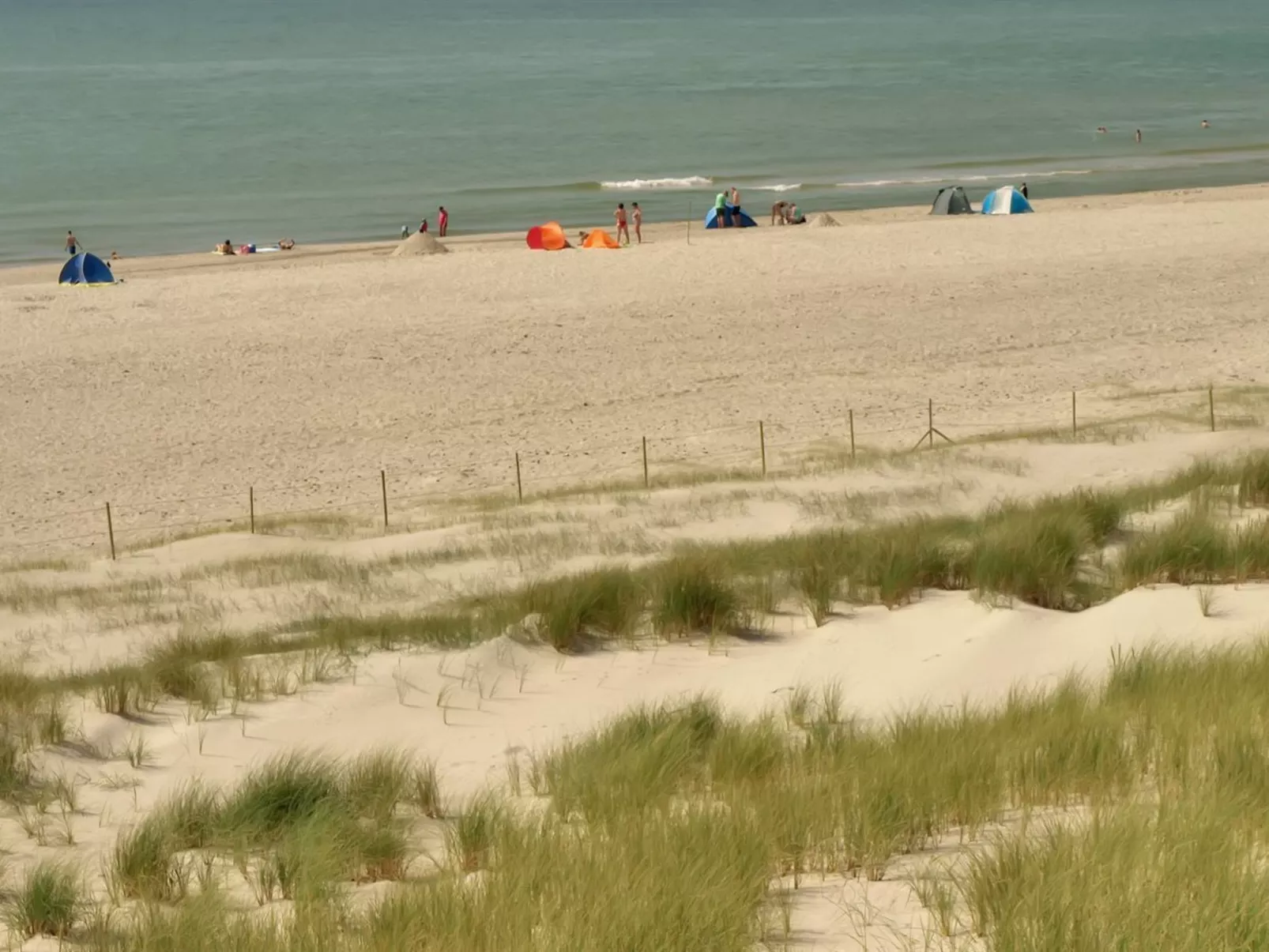 "Hildegart" -  from the sea