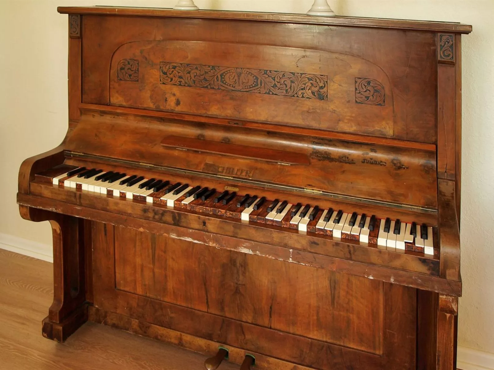 "Thia" - 4km to the fjord