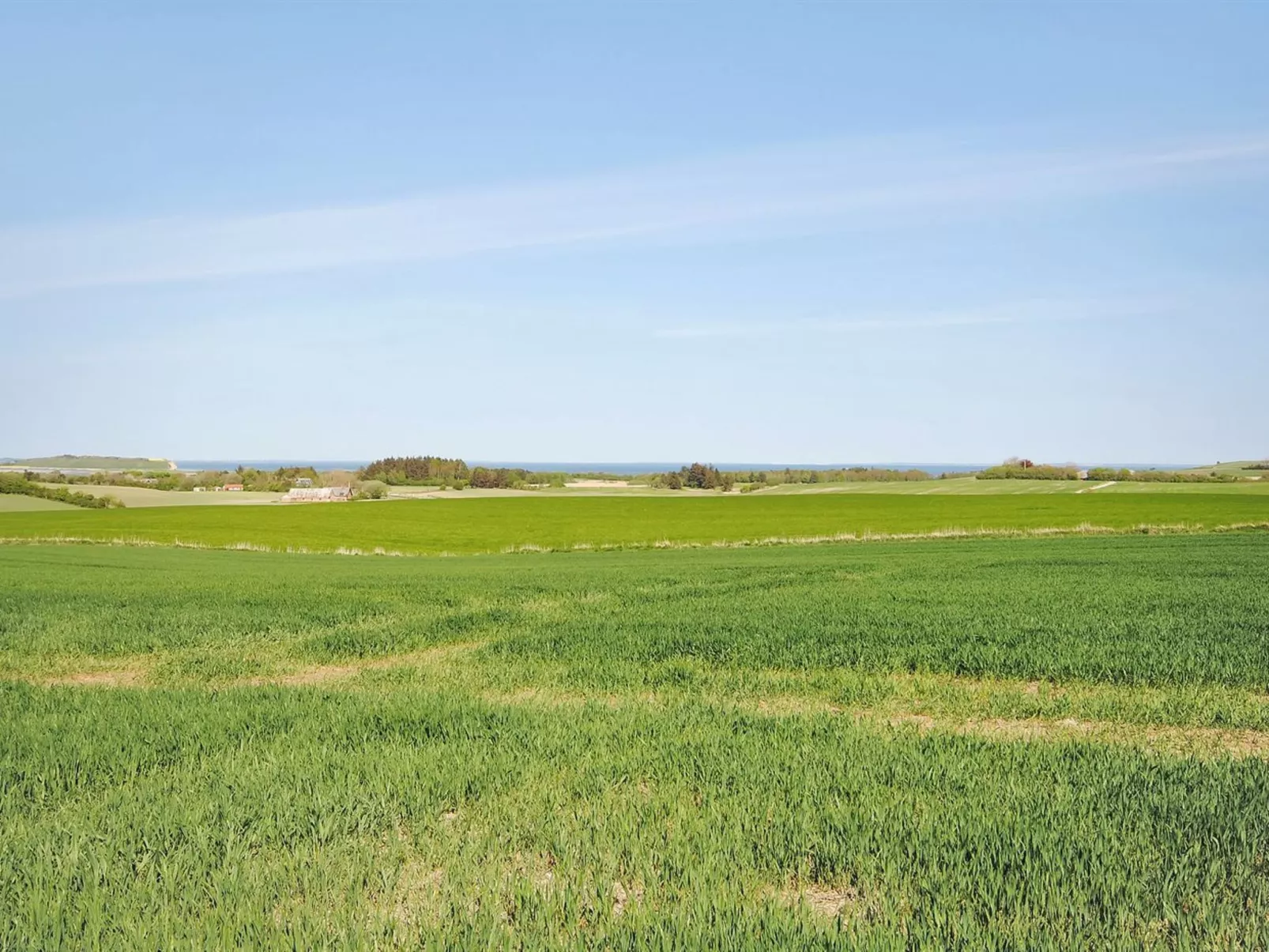 "Alois" - 1km to the fjord