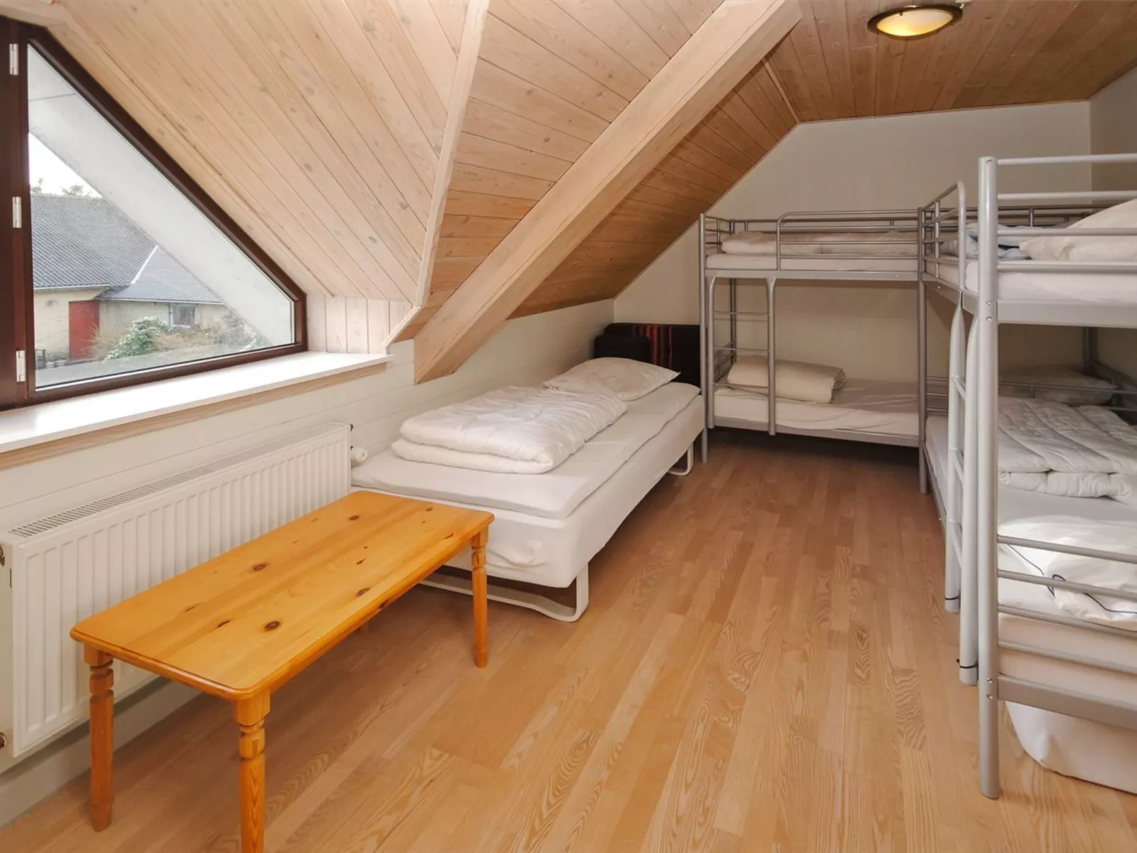 "Millie" - 3km to the fjord