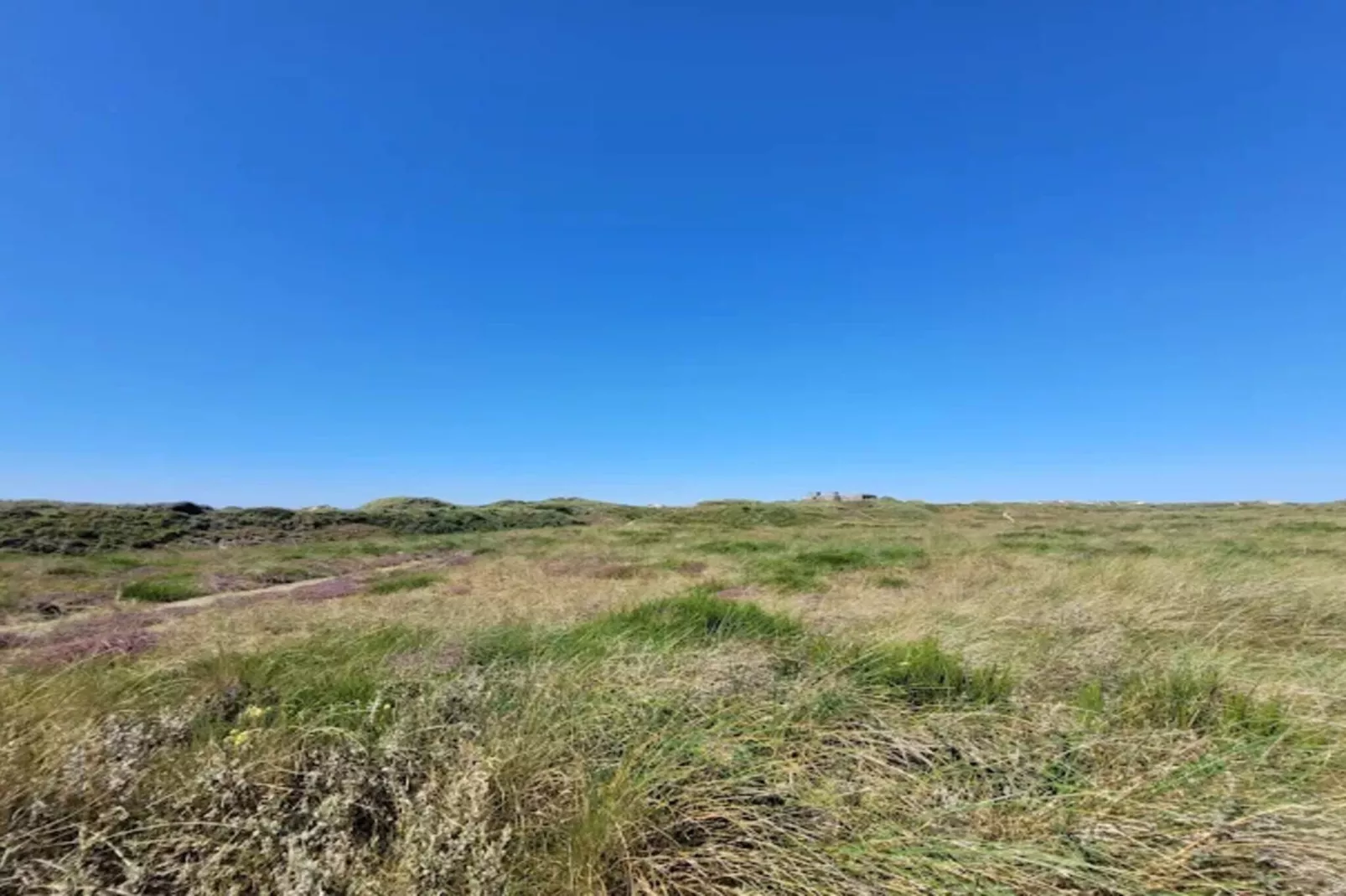 10 persoons vakantie huis in Blåvand