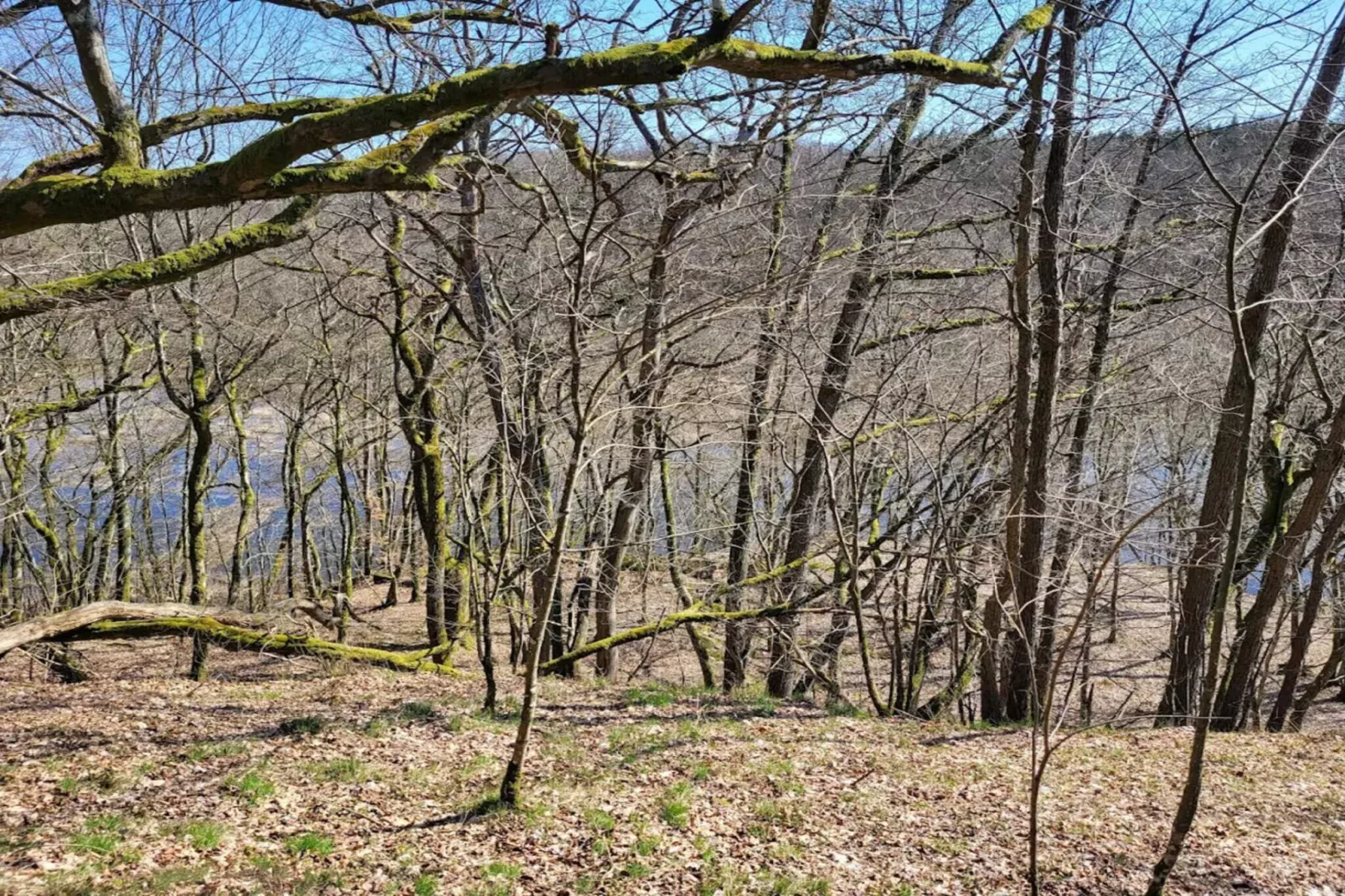 9 persoons vakantie huis in Ljungbyhed-By Traum-Niet-getagd