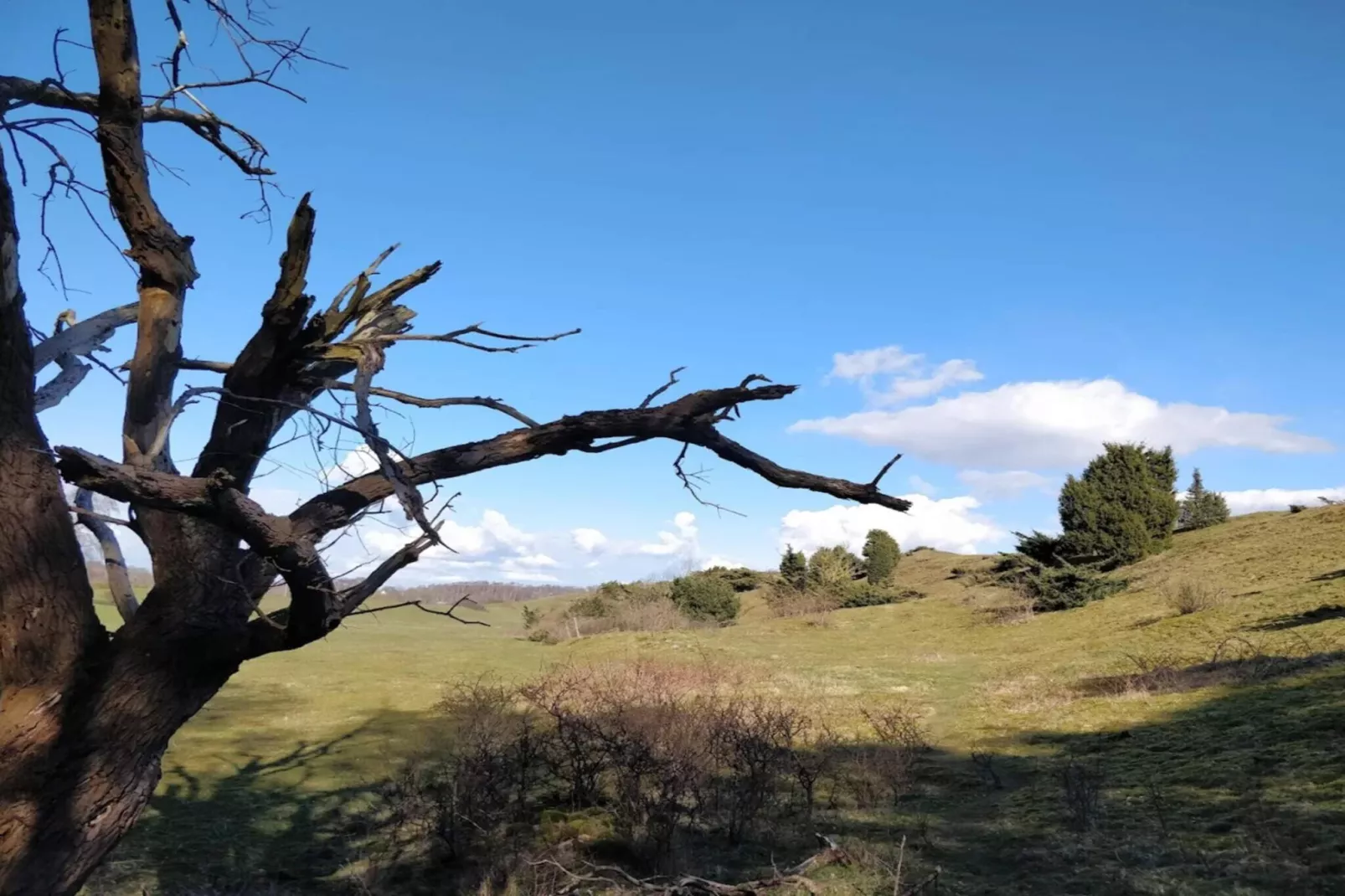 6 persoons vakantie huis in BÅSTAD-By Traum-Niet-getagd