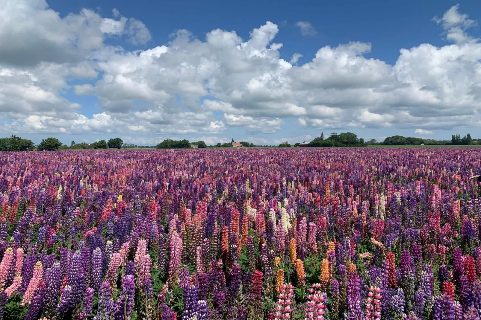 Luxe Spa Retreat in Lolland -- By Traum Ferienwohnungen
