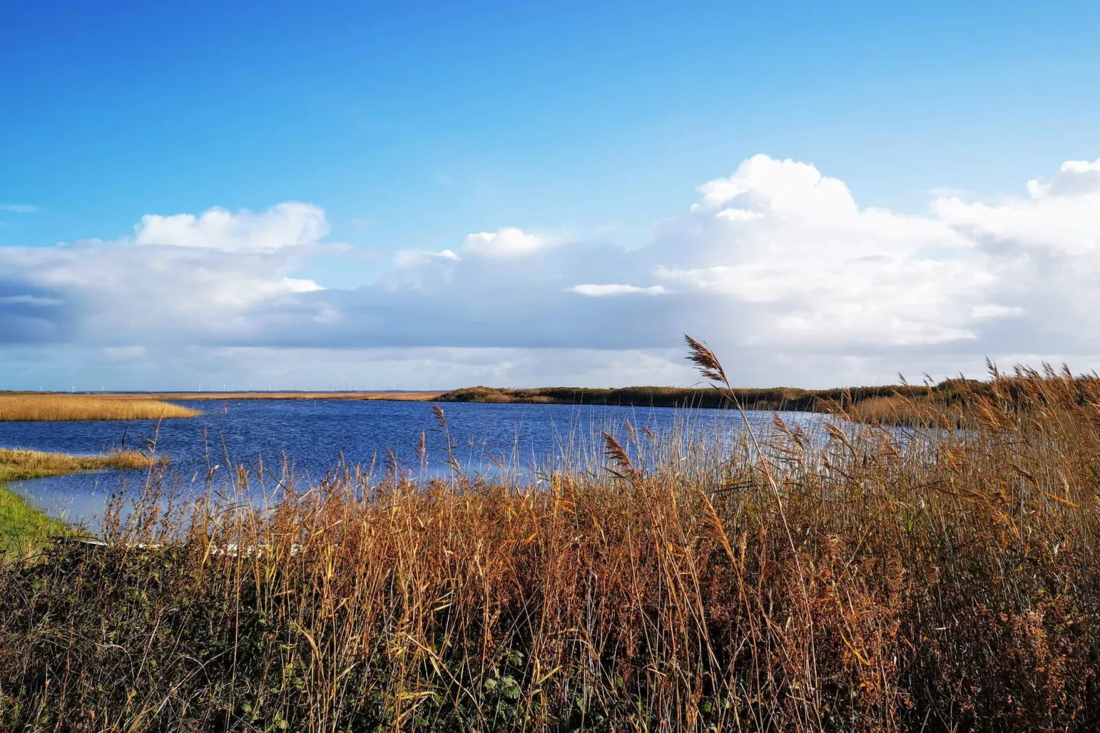 8 persoons vakantie huis in Ulfborg-By Traum-Waterzicht