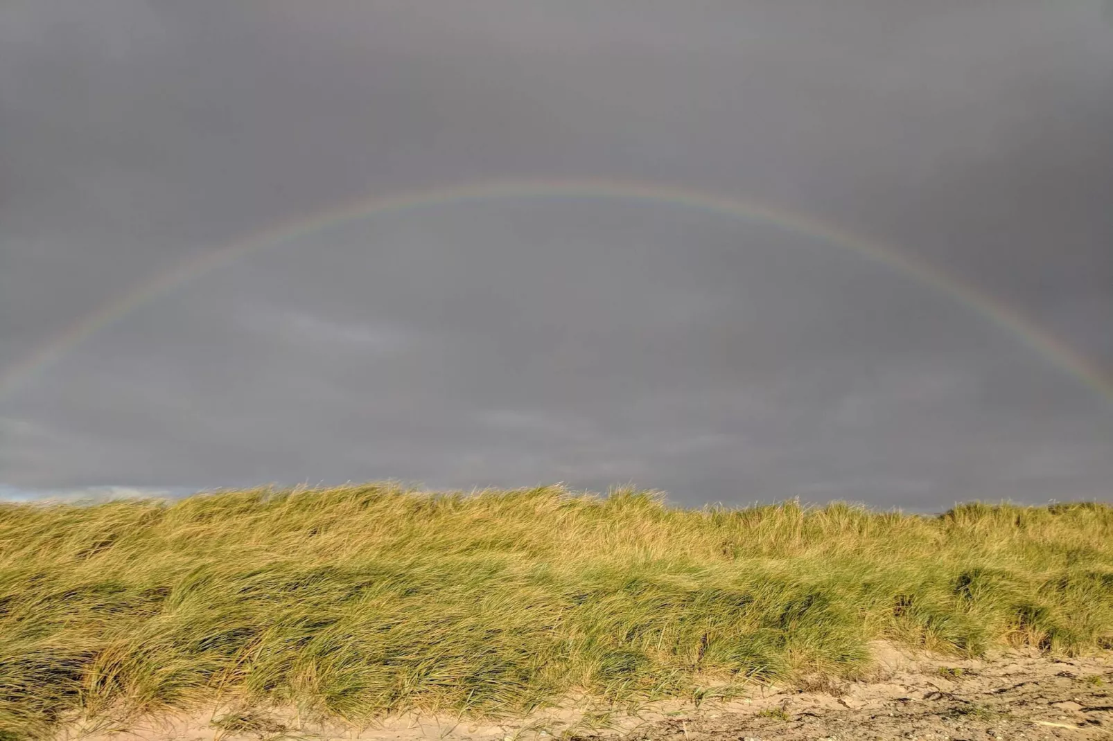 4 persoons vakantie huis in Rødby-By Traum