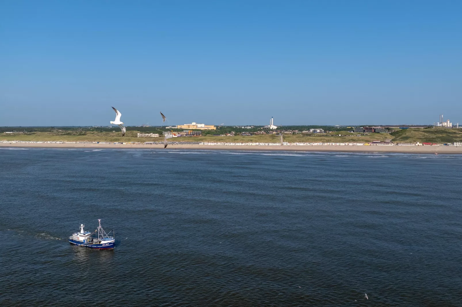 Resort Beach Houses Wijk aan Zee 2-Gebieden zomer 1km