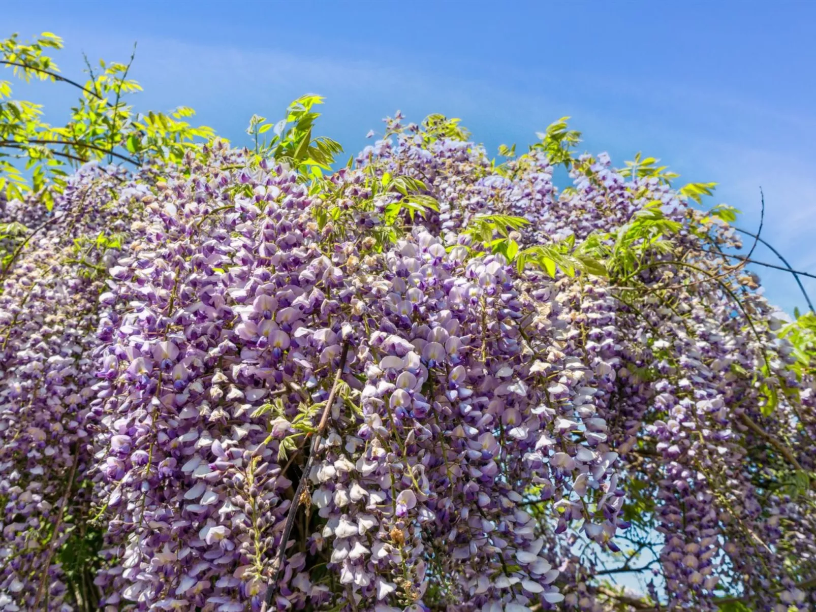 "Riitta" - 250m from the sea