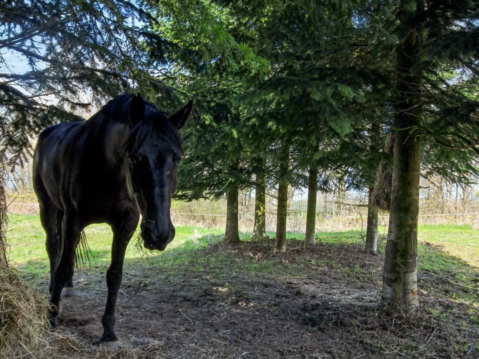 "Thana" - 8km from the sea