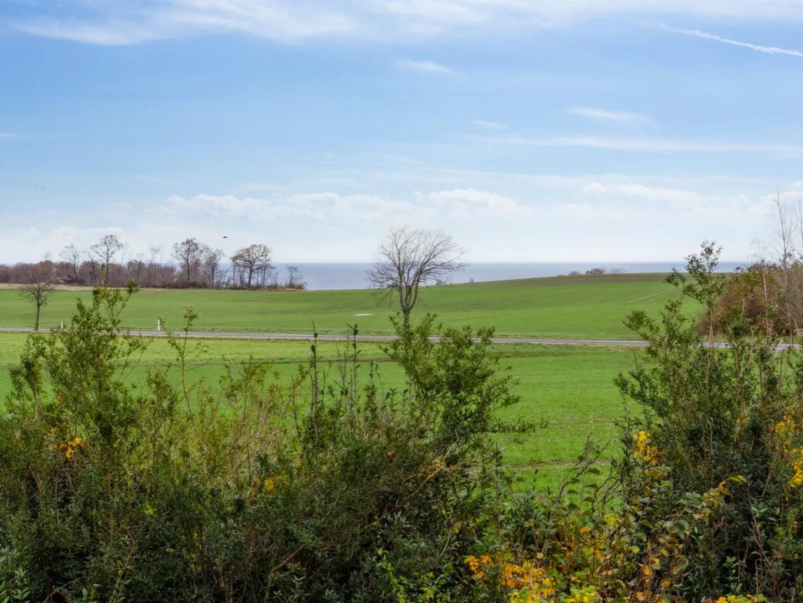 "Torbjörn" - 2.5km from the sea