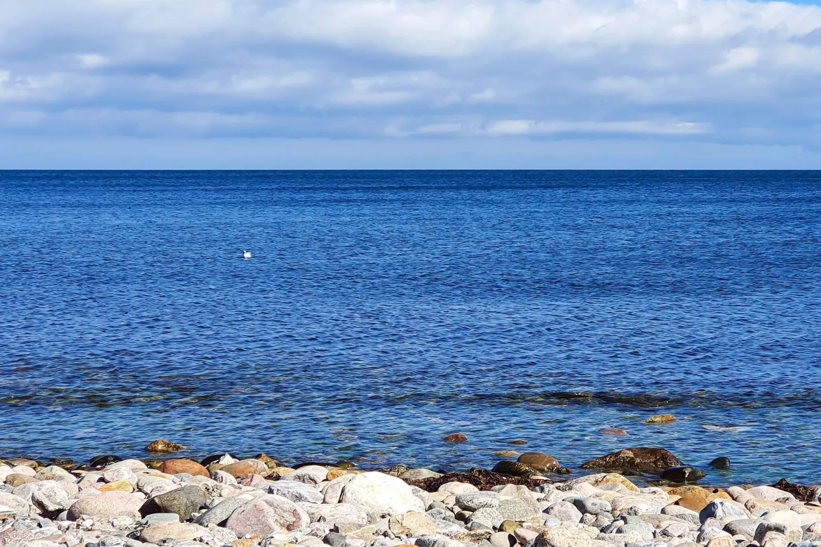 7 persoons vakantie huis in Sjællands Odde-Waterzicht