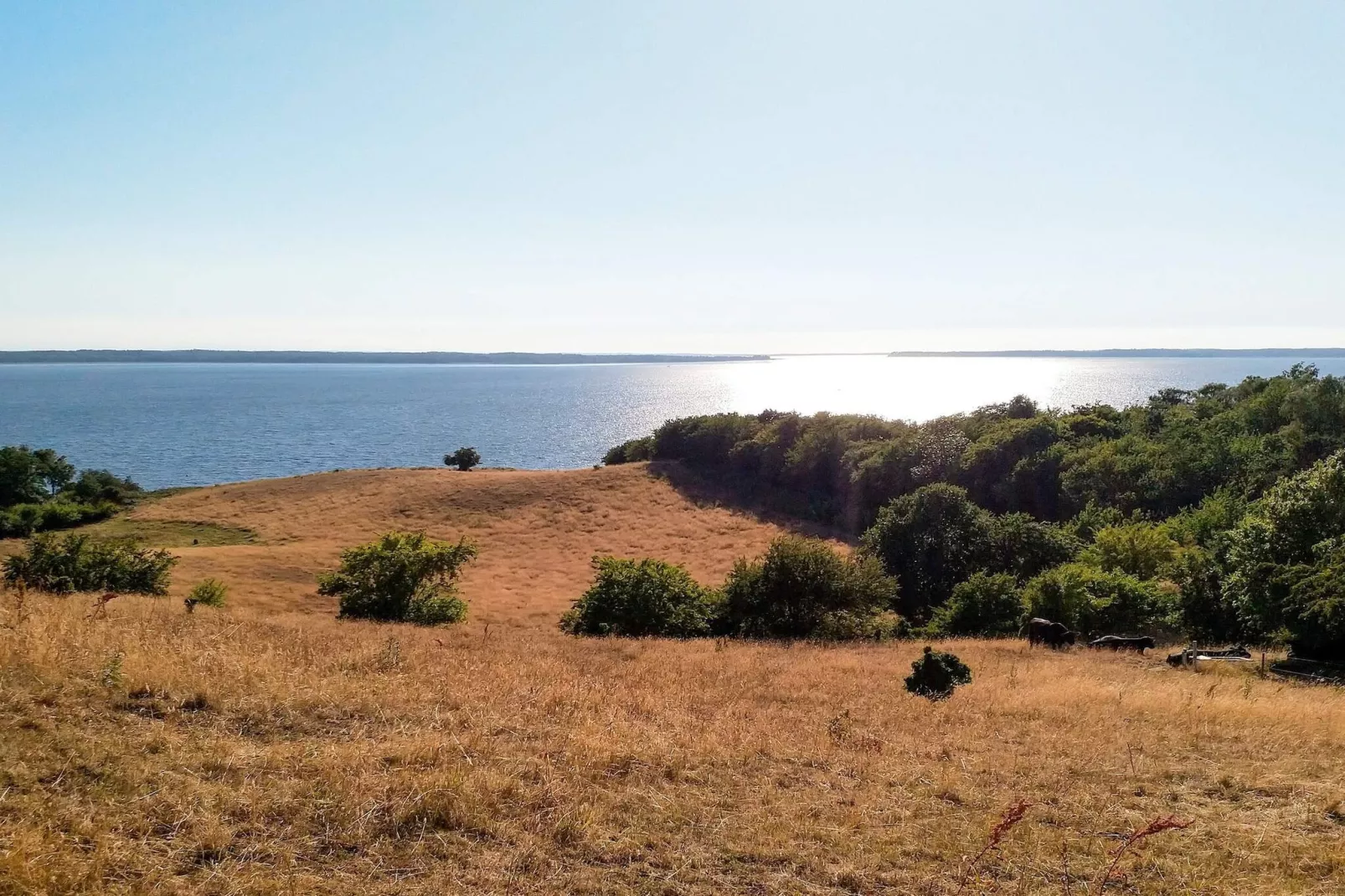 6 persoons vakantie huis in Frederiksværk-By Traum-Buitenlucht