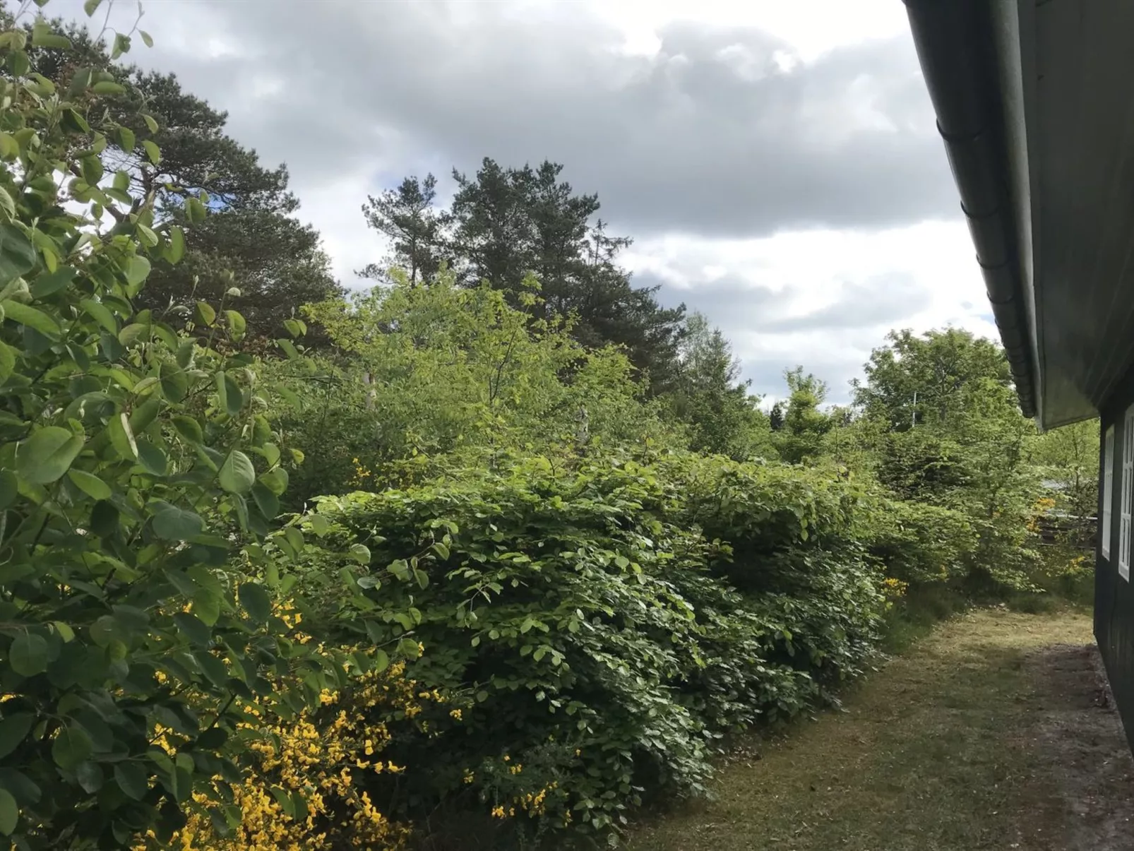 "Niyazi" - 770m from the sea