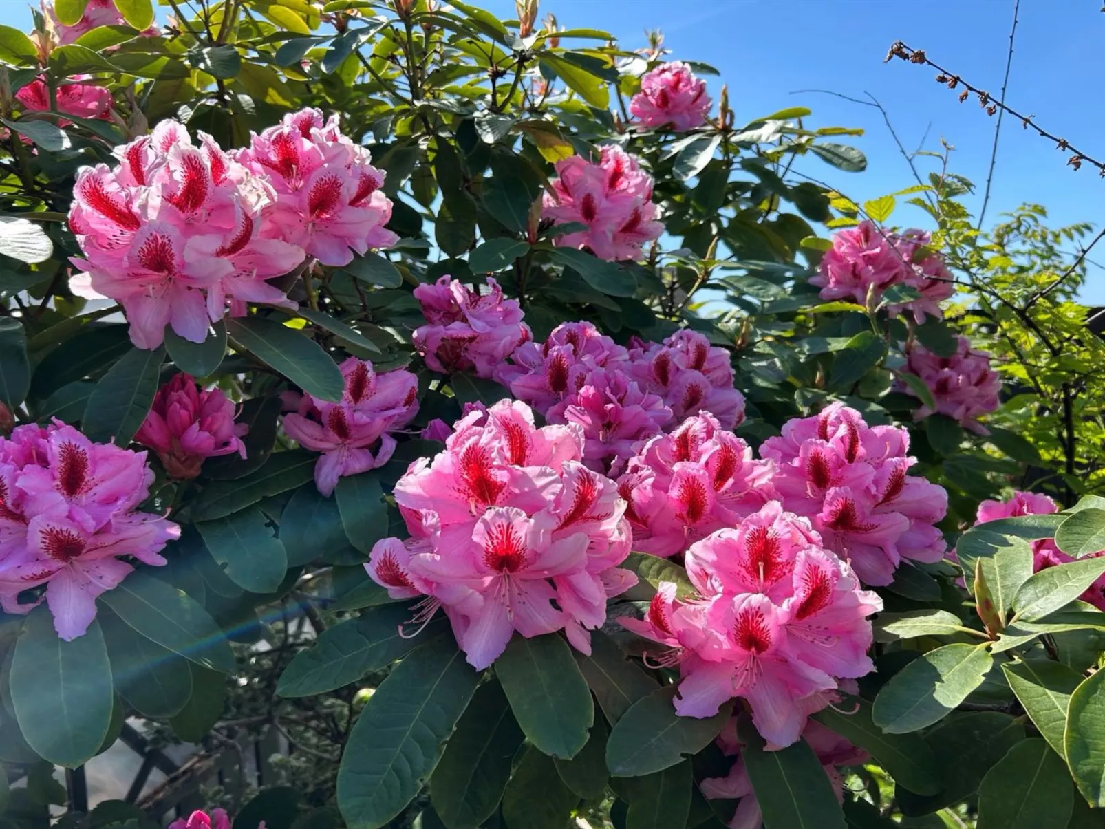 "Asta" - 1km from the sea