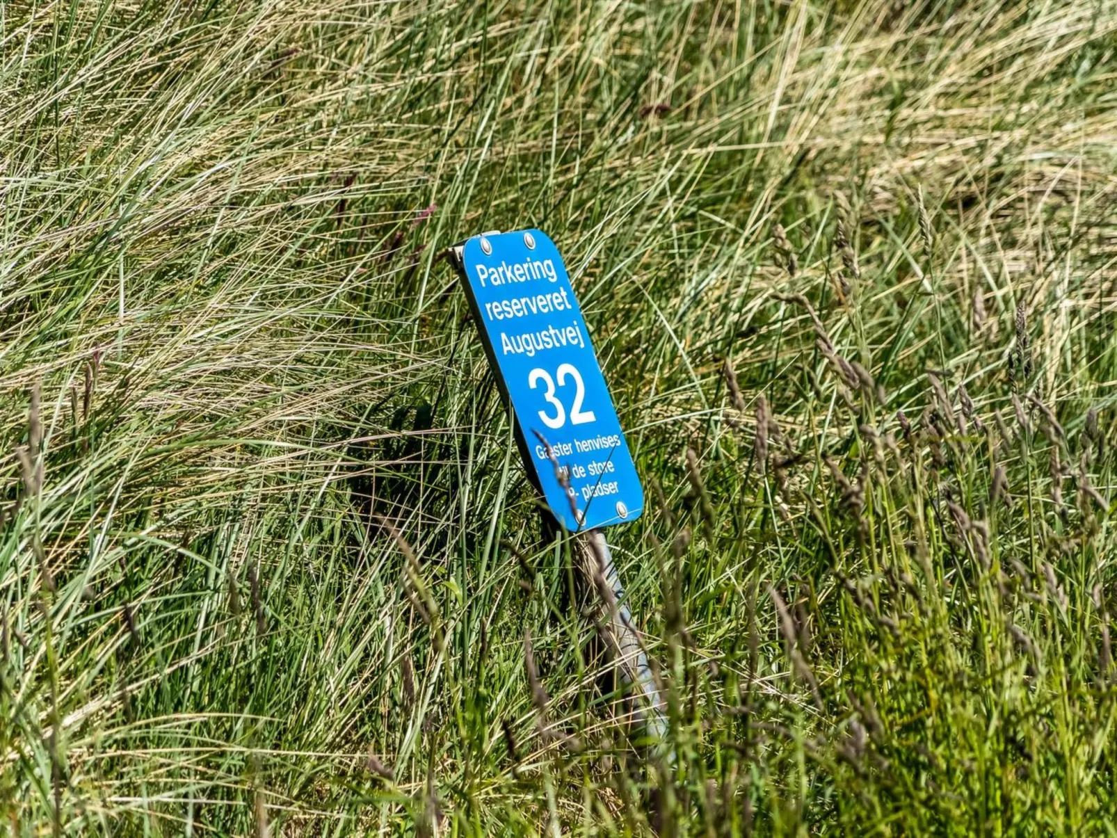 "Fatlinda" - 50m from the sea