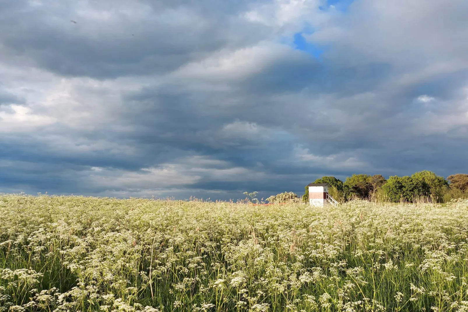 4 sterren vakantie huis in Præstø-By Traum-Niet-getagd