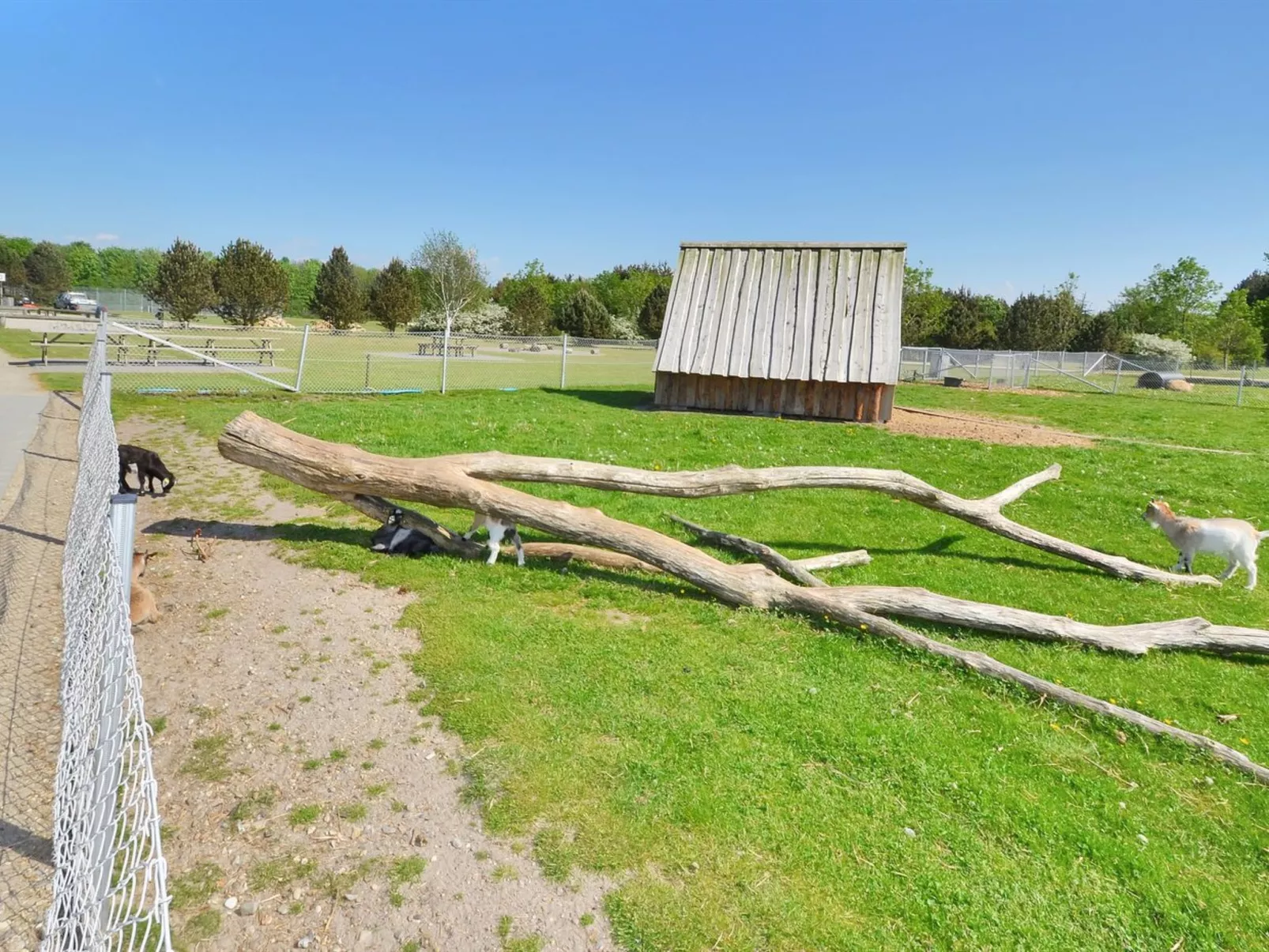 "Aviaja" - 12km from the sea