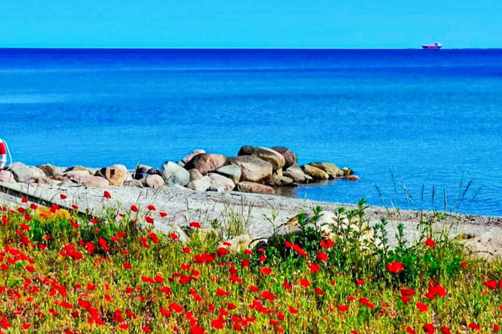 6 persoons vakantie huis in Otterup-By Traum-Waterzicht