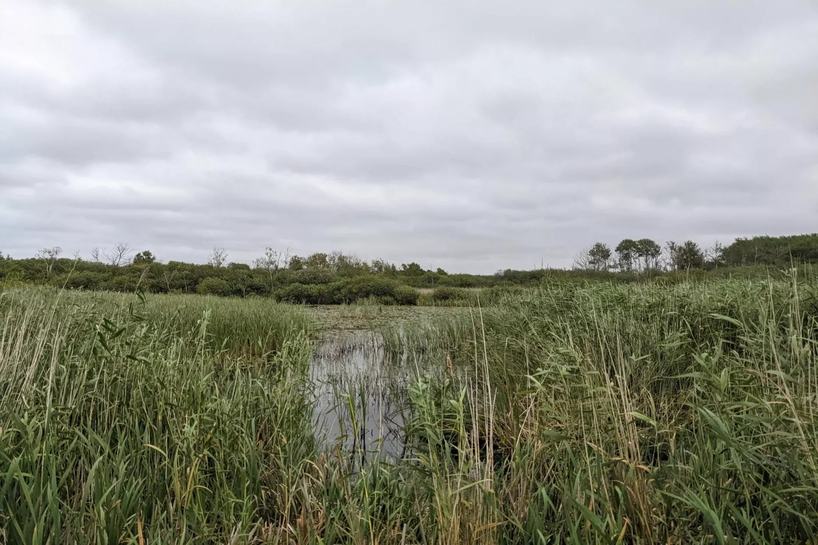 4 persoons vakantie huis in Bredebro-By Traum