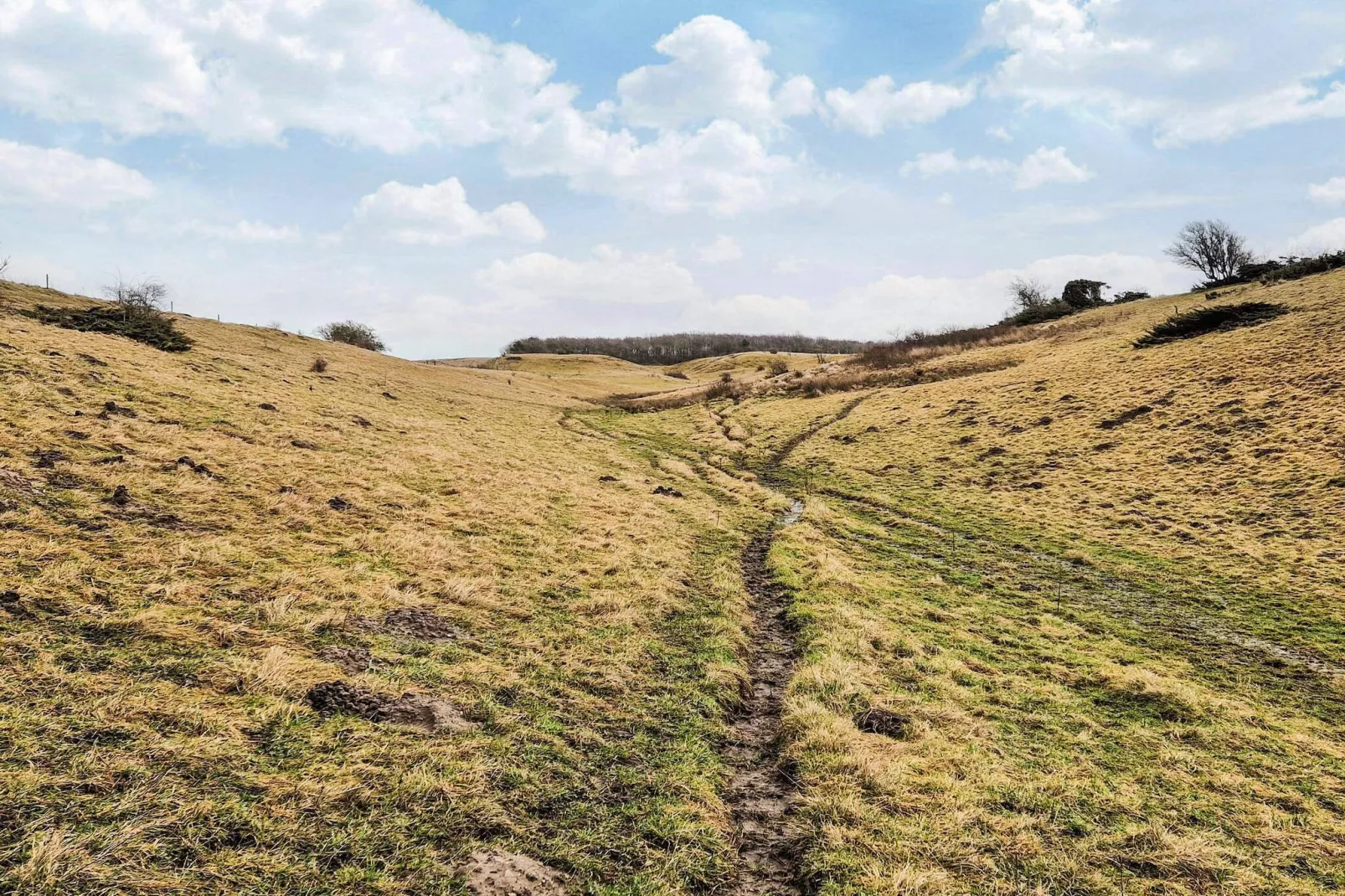5 sterren vakantie huis in Farsø-By Traum-Niet-getagd