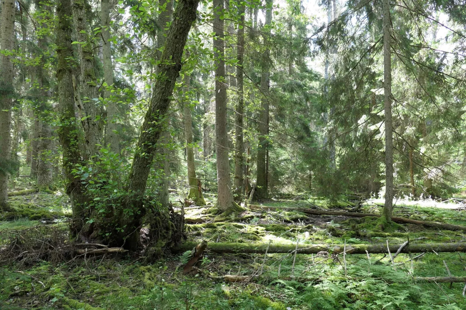 4 sterren vakantie huis in VÄRMDÖ-Niet-getagd