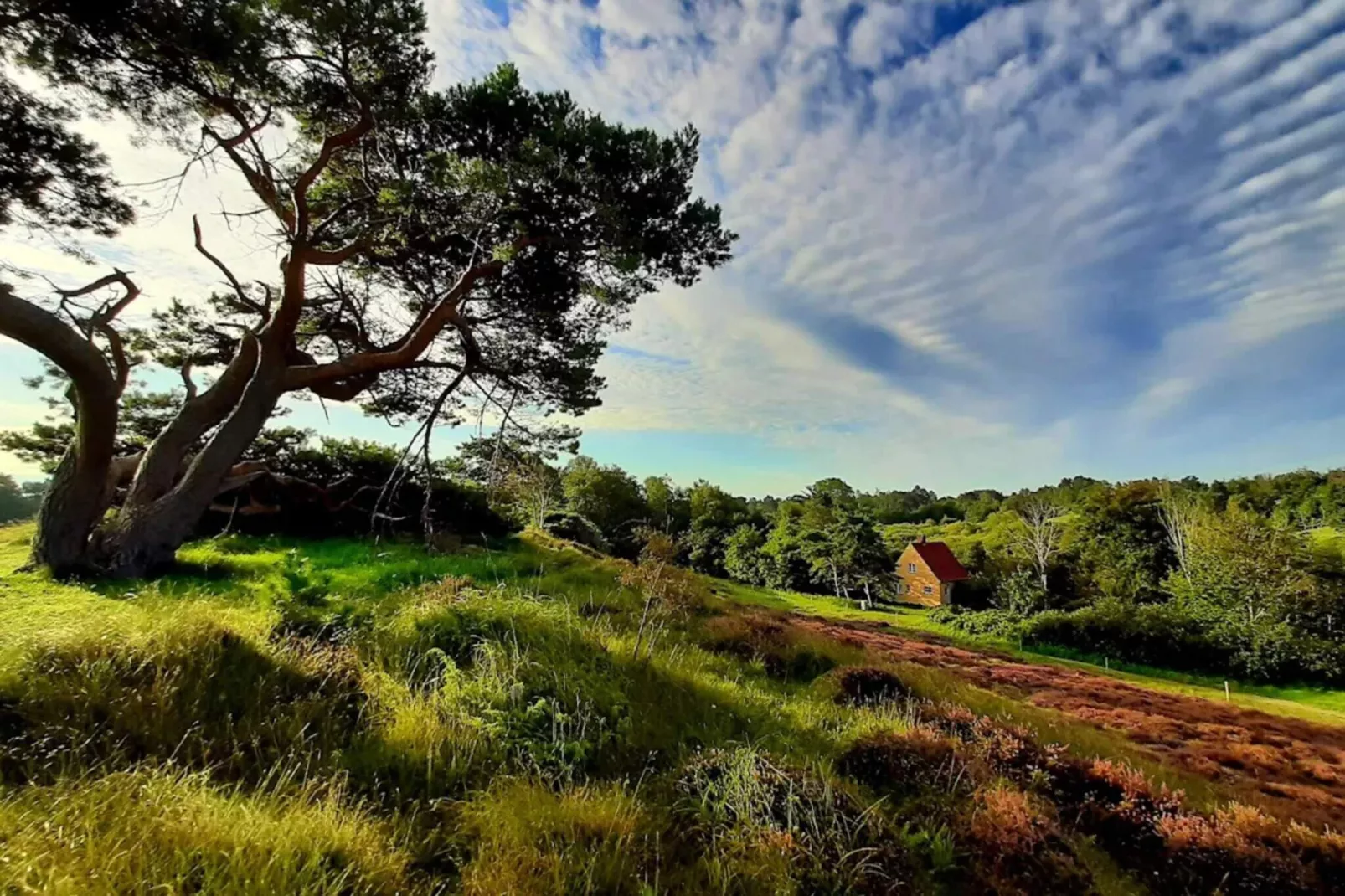 Gezellig toevluchtsoord in Rageleje -- By Traum Ferienwohnungen-Niet-getagd