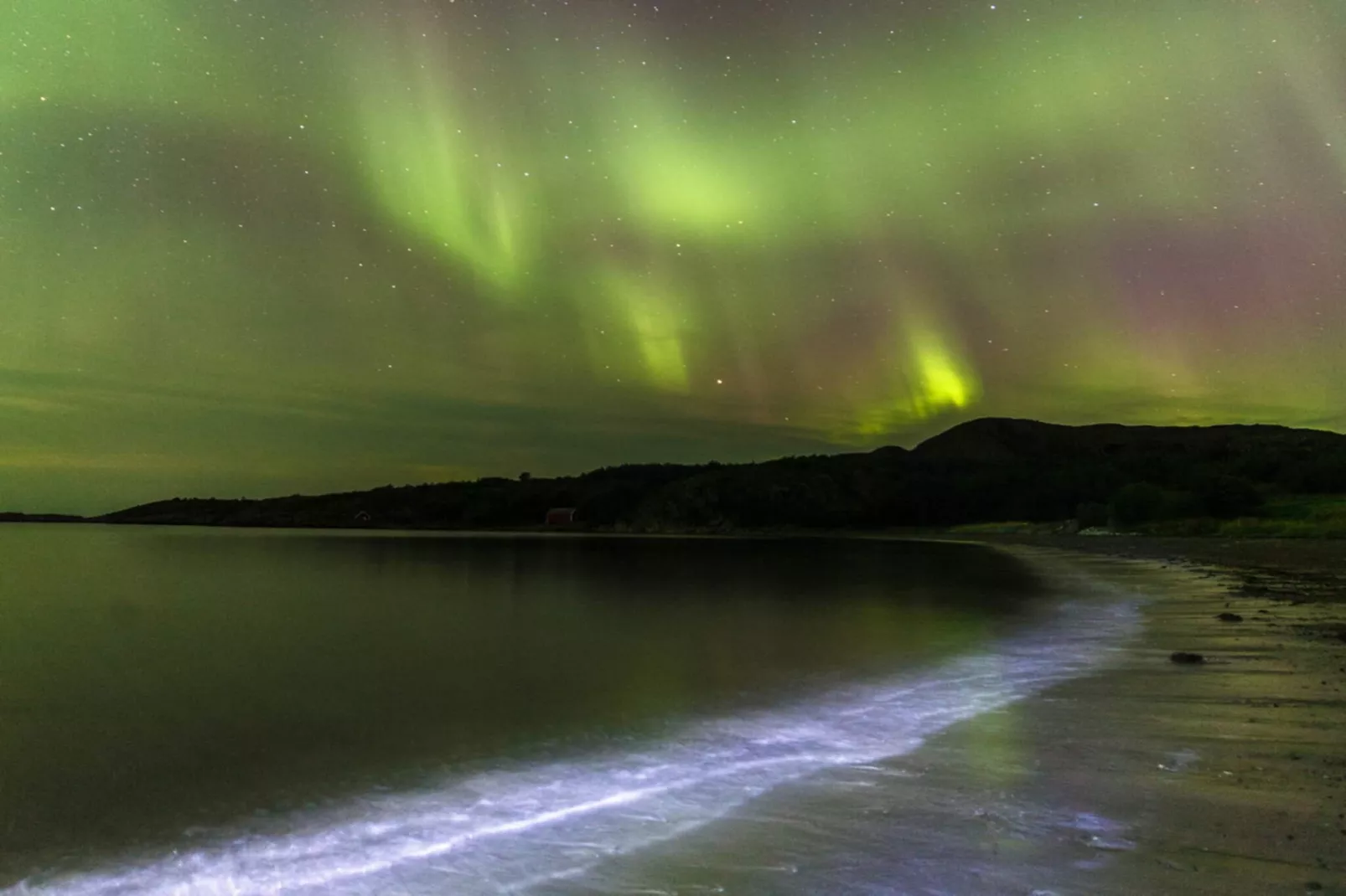 4 sterren vakantie huis in Naustbukta-Niet-getagd