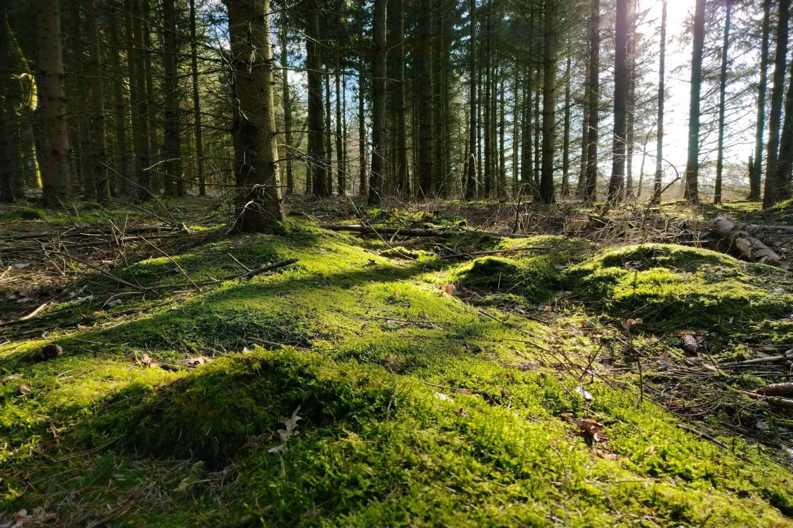 6 Personen vakantie huis in Give-By Traum-Niet-getagd