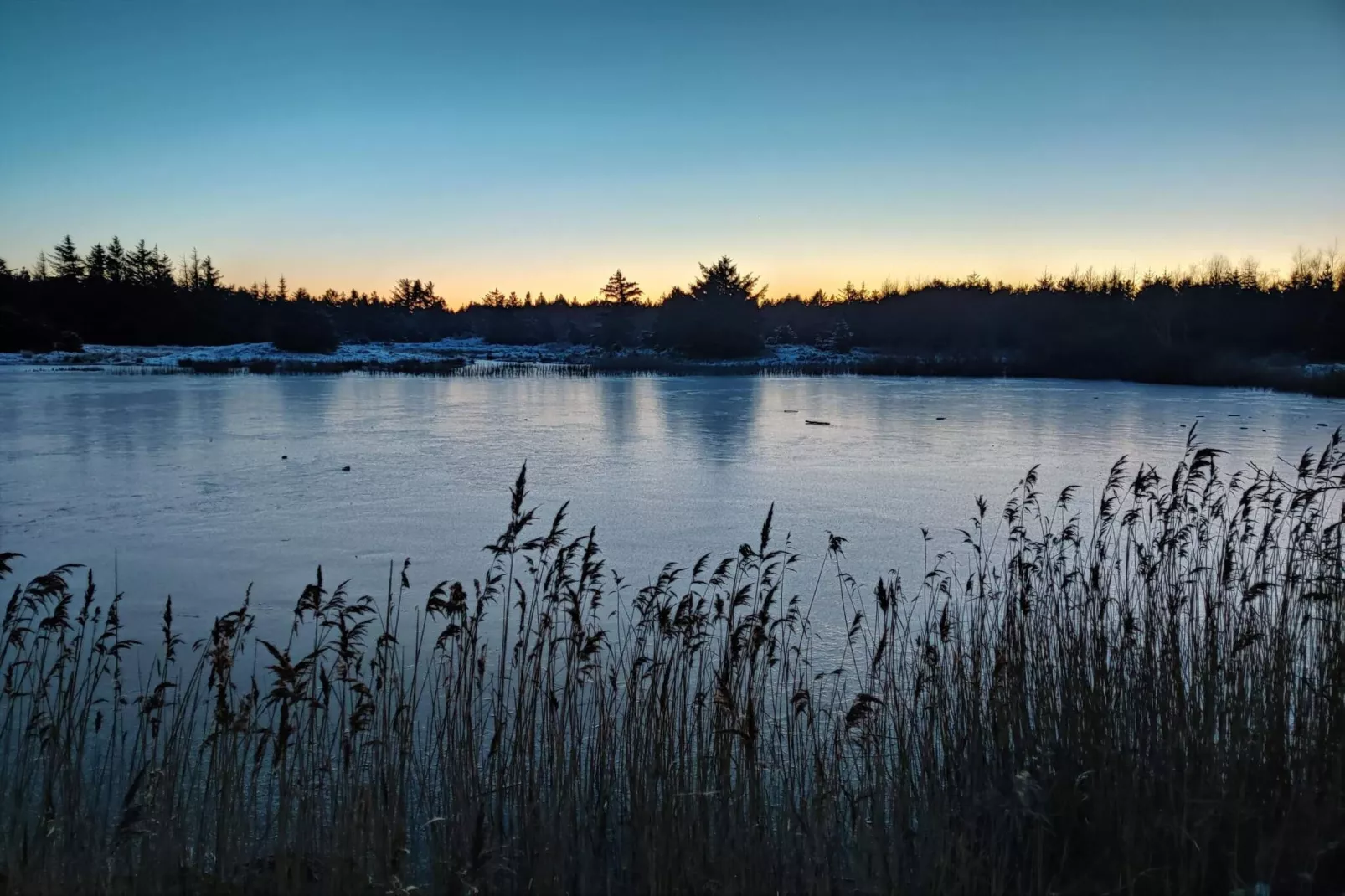5 sterren vakantie huis in Vejers Strand