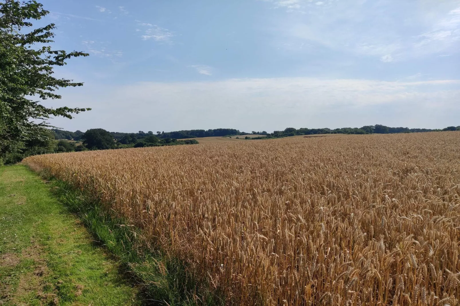 Goed onderhouden vakantiehuis in Faborg-Niet-getagd