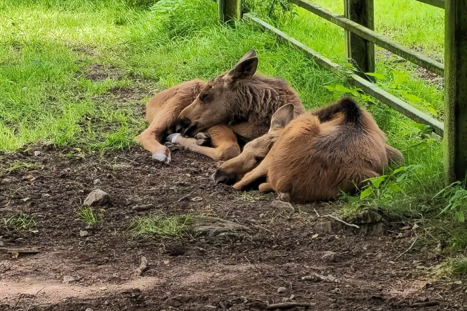4 persoons vakantiehuis in Hoor-Niet-getagd