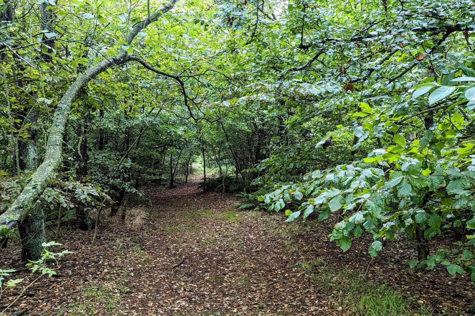 Charmant toevluchtsoord in Ringkobing-Niet-getagd