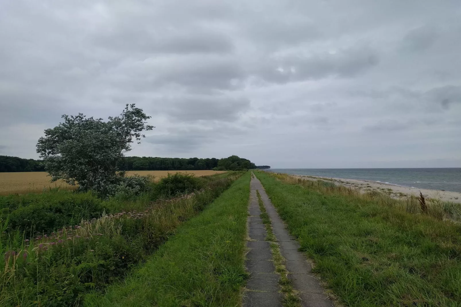 5 sterren vakantie huis in Otterup-Niet-getagd