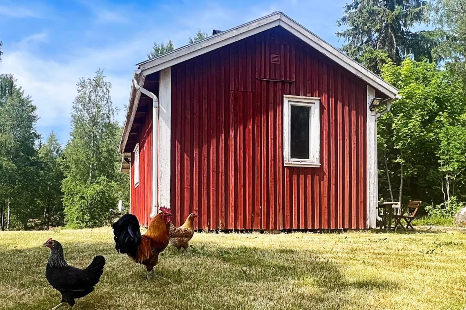 4 persoons vakantie huis in MOLKOM-Buitenlucht