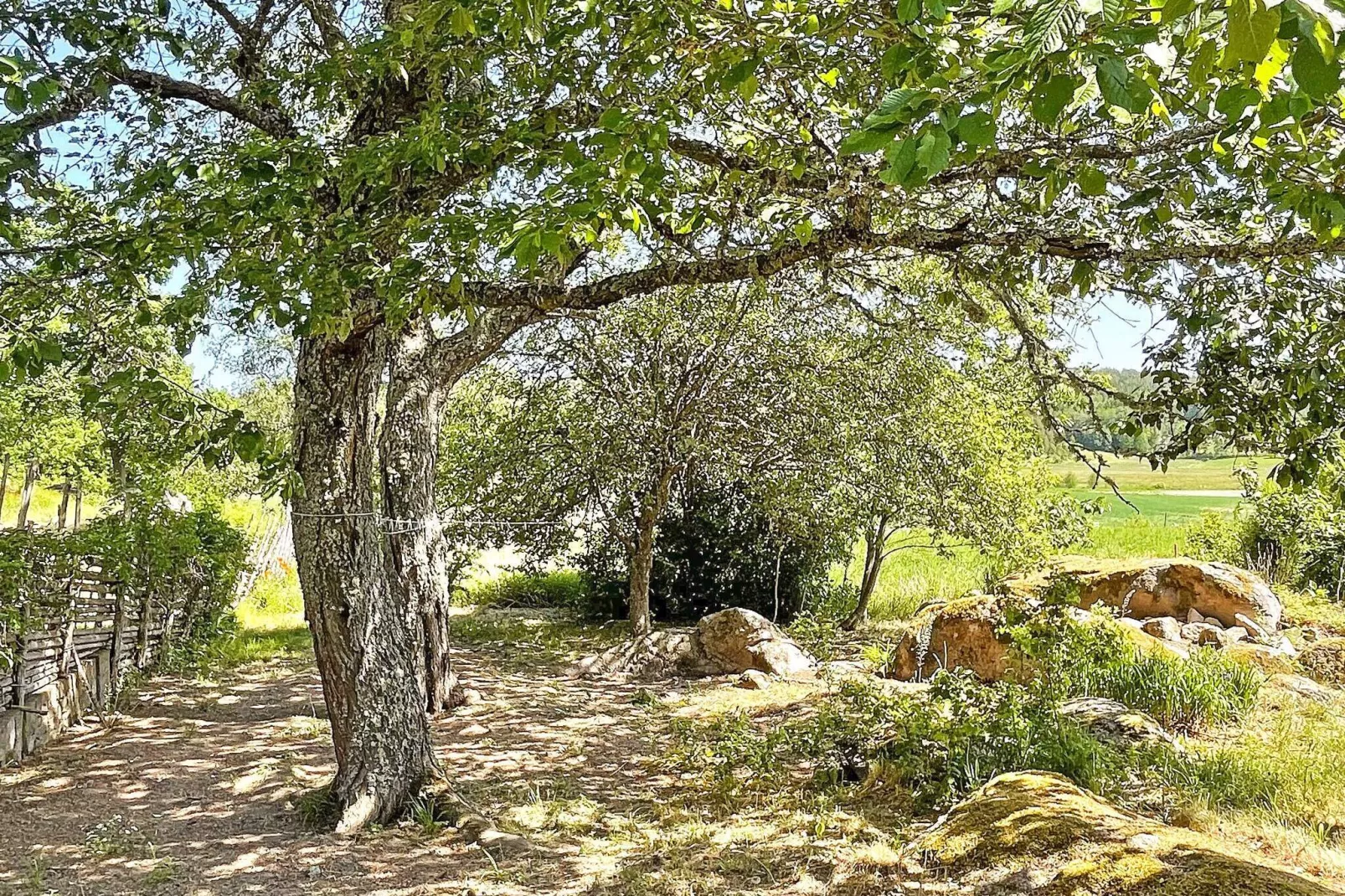 5 persoons vakantie huis in HORN-By Traum-Buitenlucht