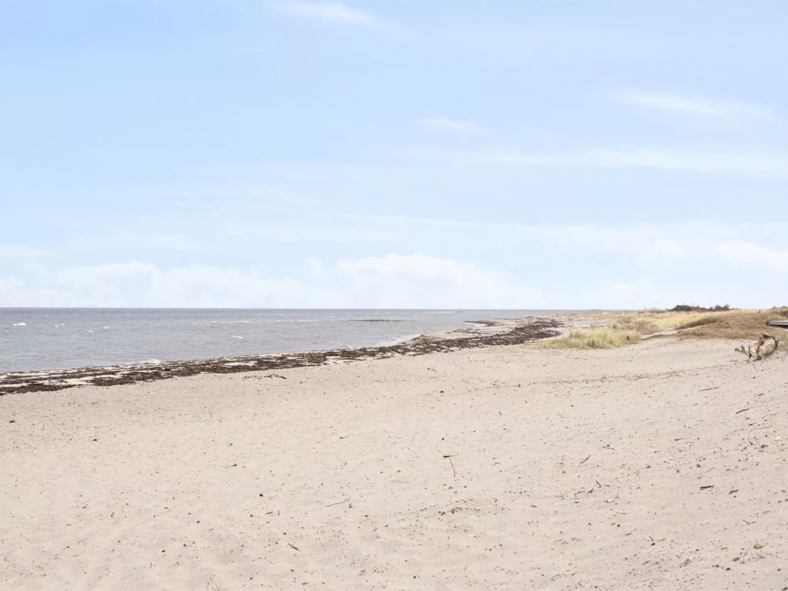 "Akira" - 250m from the sea