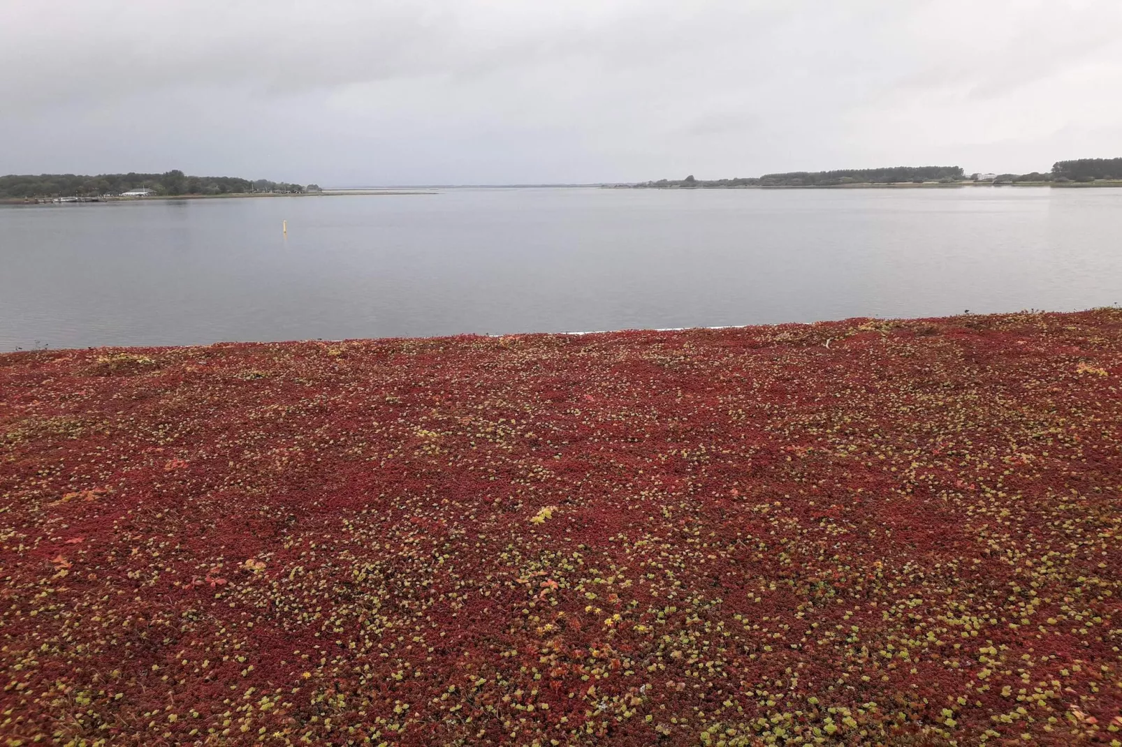 4 sterren vakantie huis in Aalborg