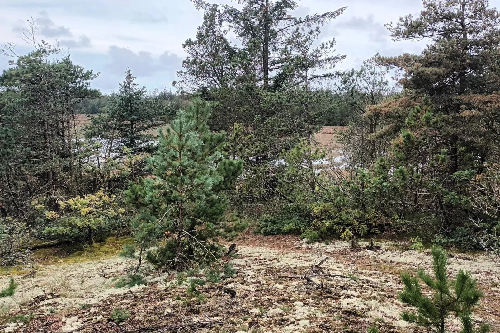 5 Personen vakantie huis in Snedsted-Niet-getagd