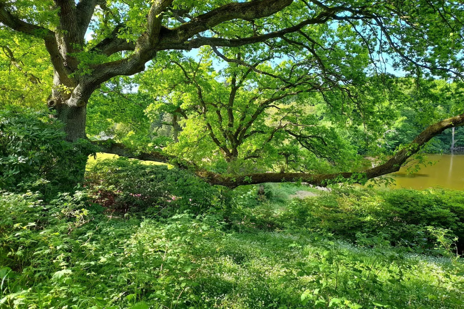 4 sterren vakantie huis in Vedbæk-Niet-getagd