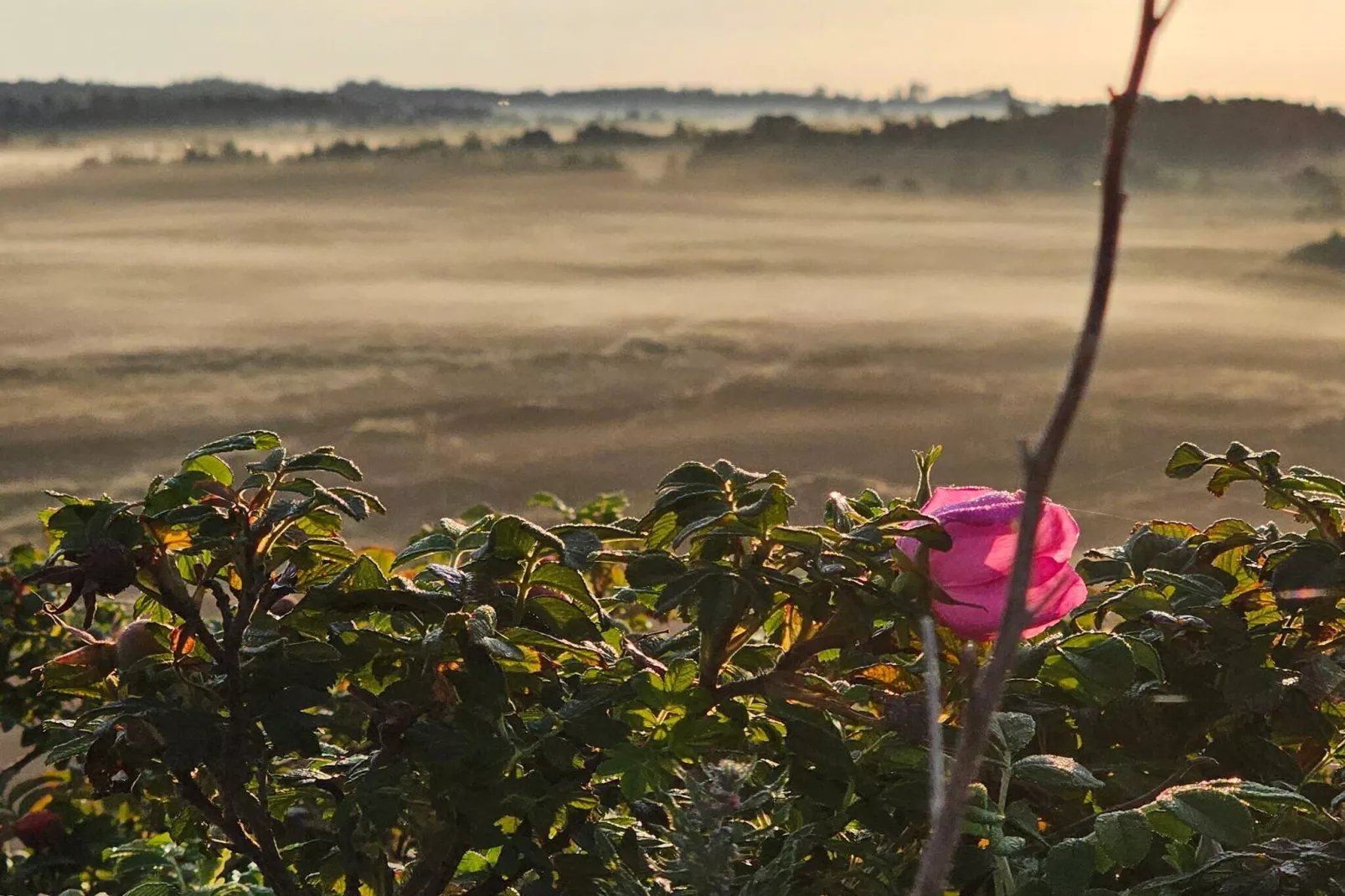 5-sterren vakantiehuis in Henne Beach-Niet-getagd