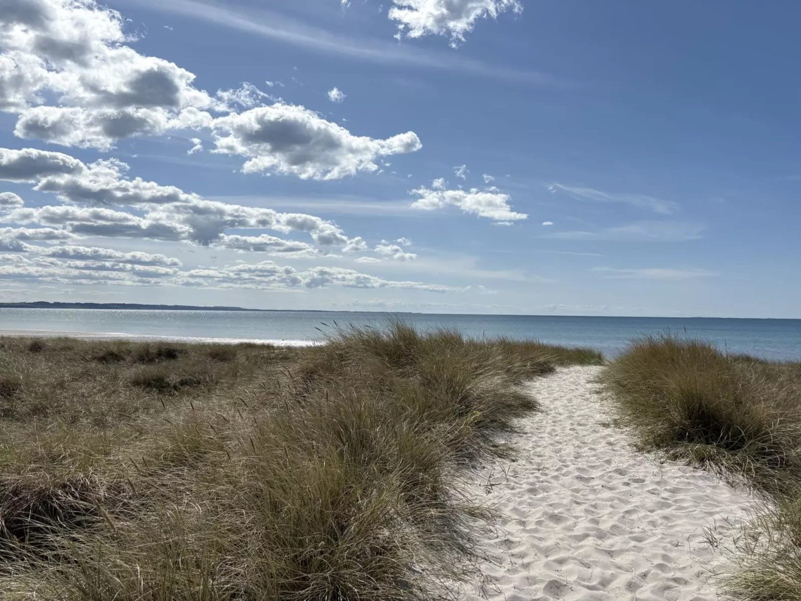 "Fridborg" - 425m from the sea-Buiten