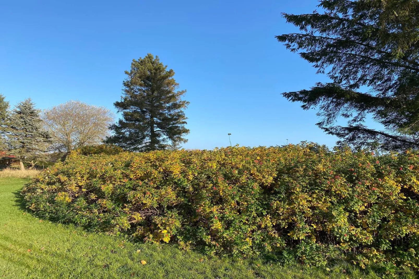 6 Personen vakantie huis in Hadsund-Niet-getagd