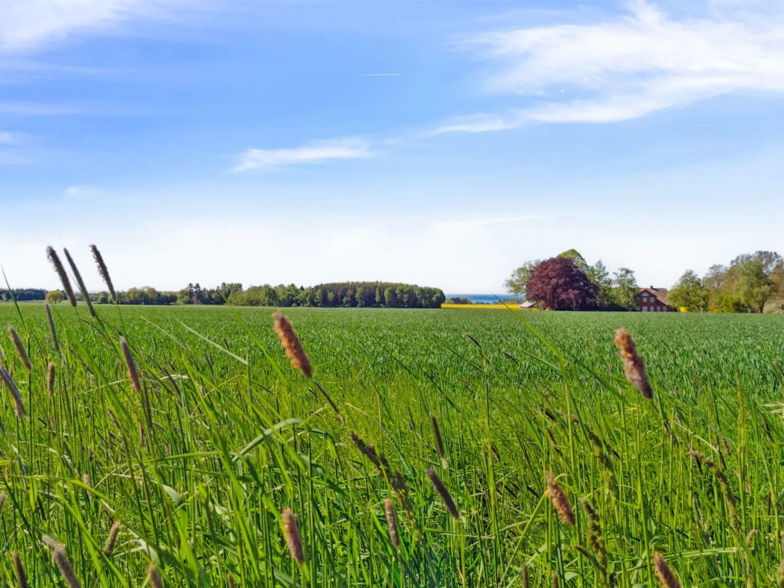 "Agny" - 2.2km from the sea
