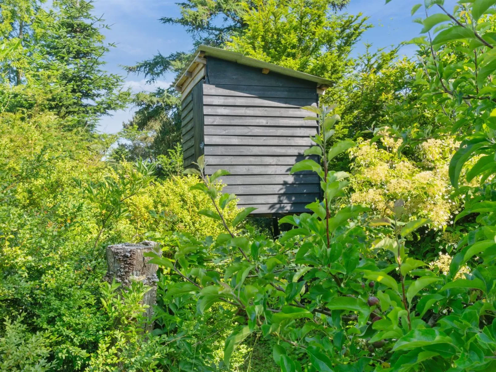 "Alfa" - 350m from the sea