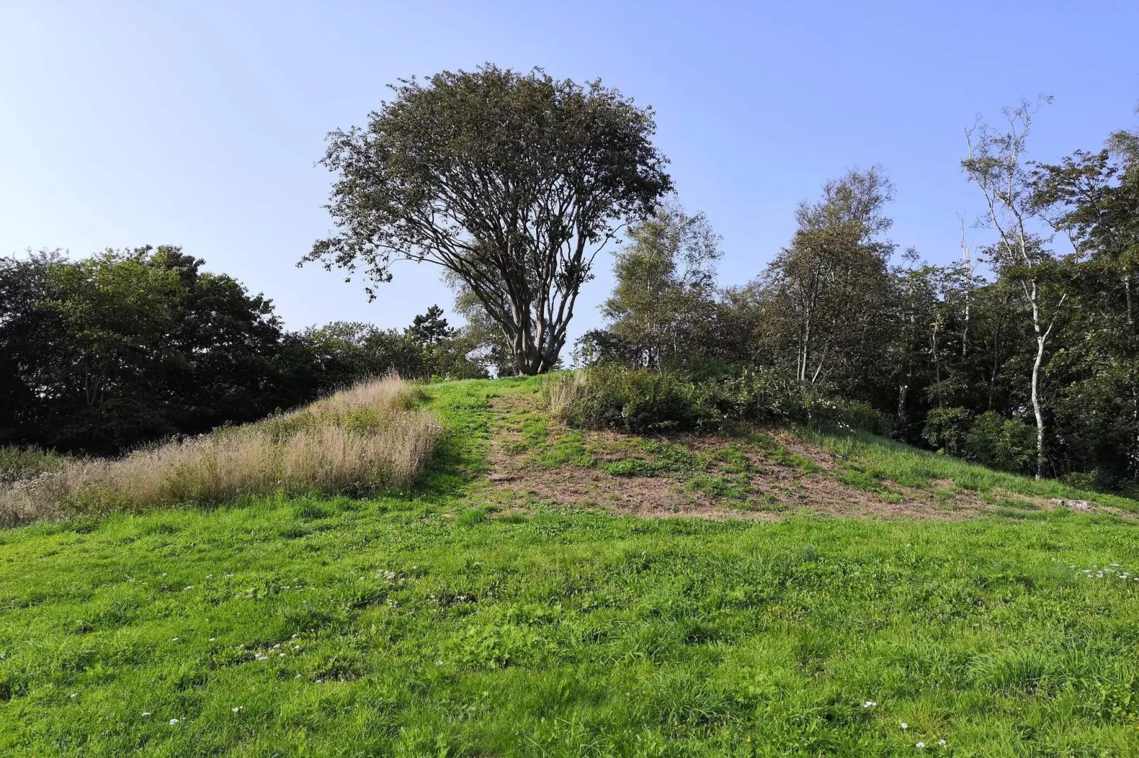 7 Personen vakantie huis in Asnæs