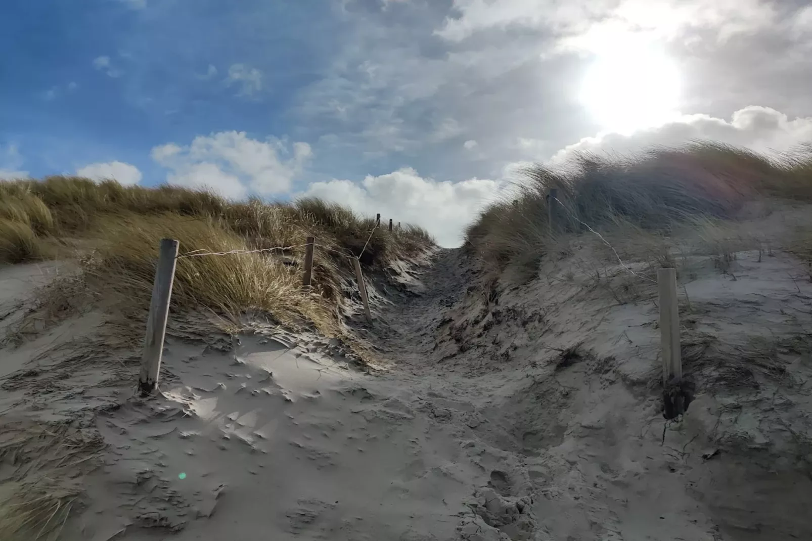 Haus Sonne - Garten Fewo - Strandhotel Fischland-Gebieden zomer 5km