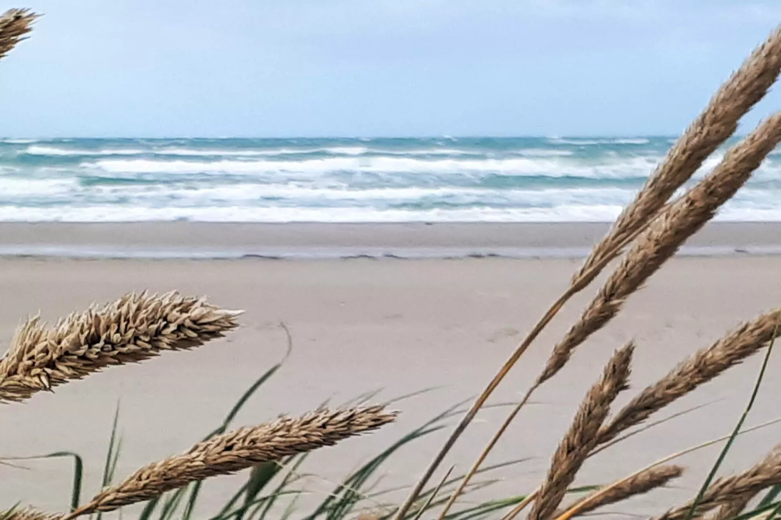 5 sterren vakantie huis in Løkken