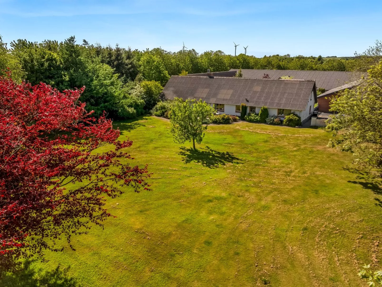 "Elia" - 5km to the fjord