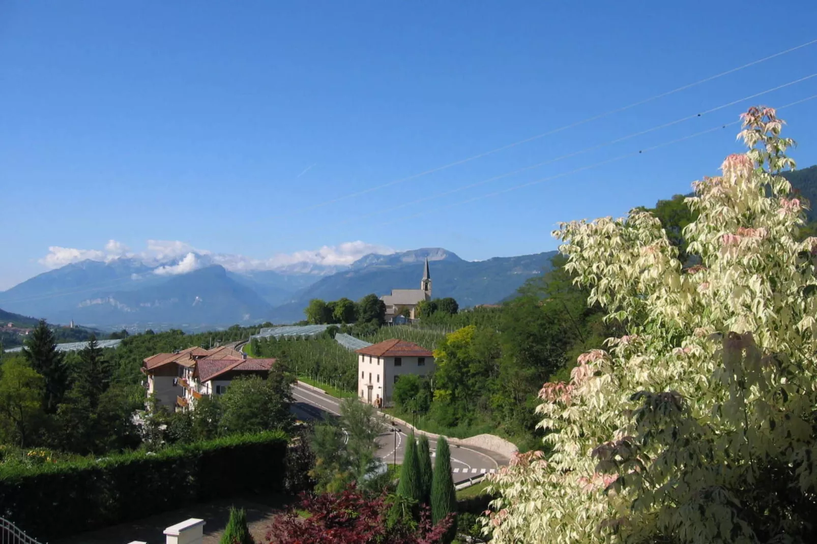 Pink Lady-Gebieden zomer 1km