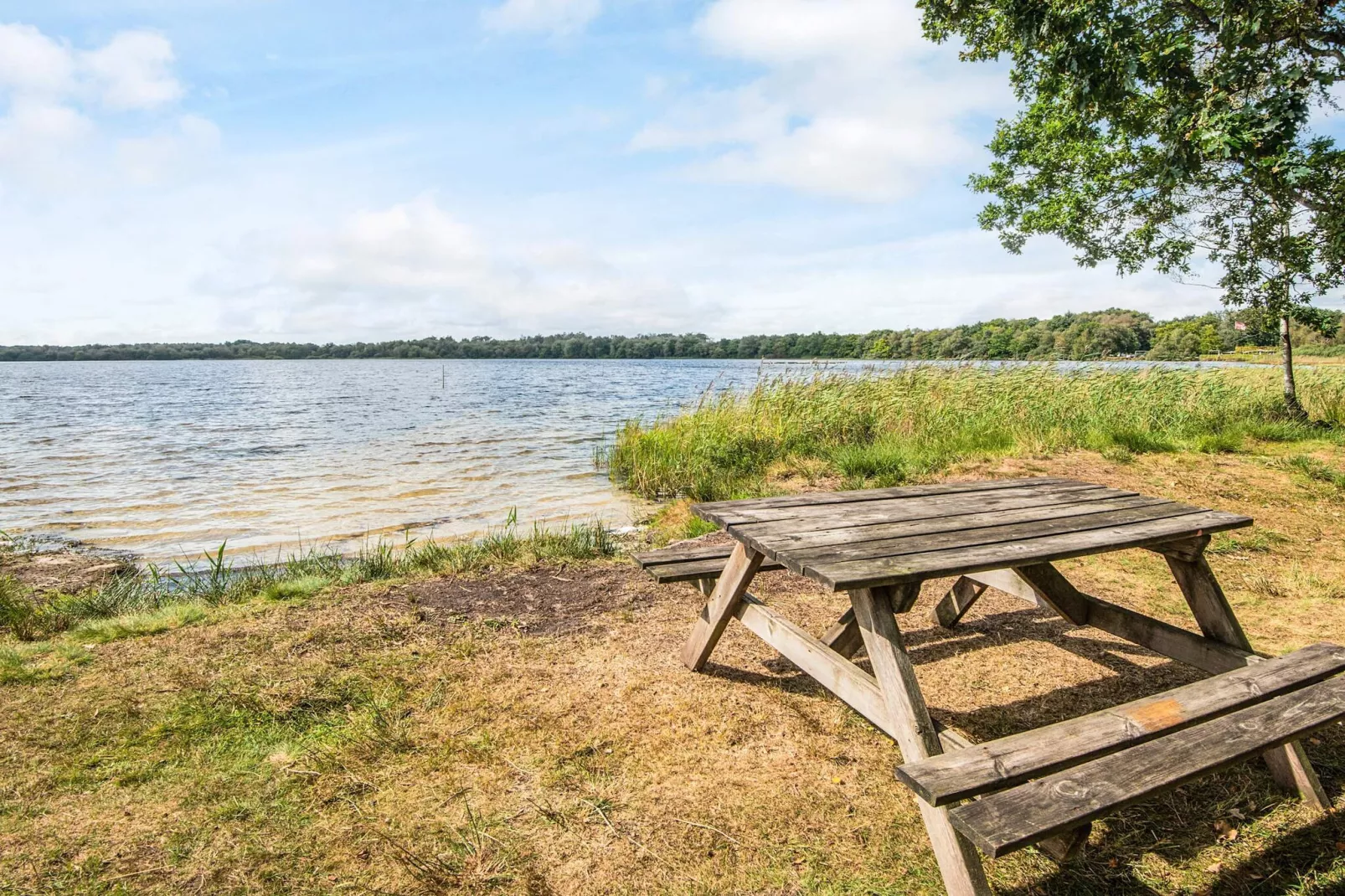 6 Personen vakantie huis in Ansager